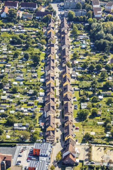 Aerial view, mining estate Wiescherhöfen, terraced housing estate Robertstraße, Wiescherhöfen,