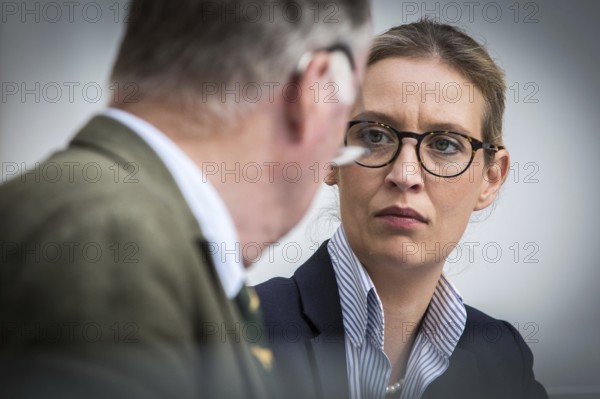 DEU Germany Germany Berlin AFD press conference on environmental policy with Alexander Gauland and