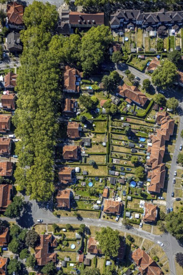 Aerial view, Teutoburgia housing estate with swimming pools in the back gardens, pools, garden