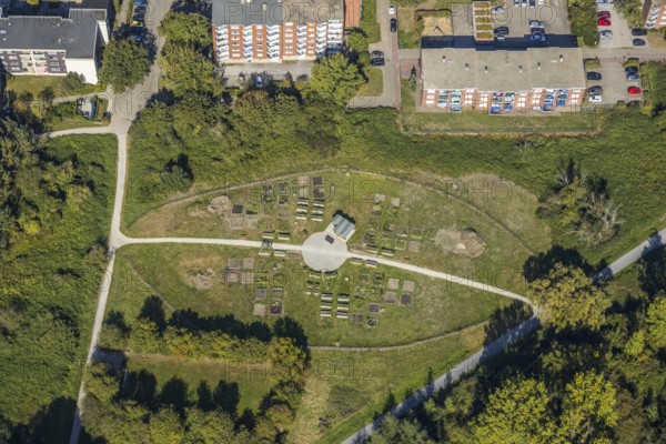 Aerial view, Urbaner Garten Kornmersch, Hamm, Ruhr area, North Rhine-Westphalia, Germany, flower