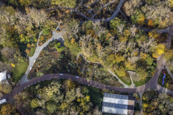 Aerial view, Maximilianpark Hamm, rose beds, Uentrop, Hamm, Ruhr area, North Rhine-Westphalia,