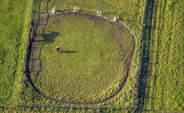 Aerial view, riding area, horse walker, Geithe, Uentrop, Hamm, Ruhr area, North Rhine-Westphalia,