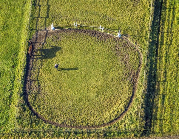 Aerial view, riding area, horse walker, Geithe, Uentrop, Hamm, Ruhr area, North Rhine-Westphalia,