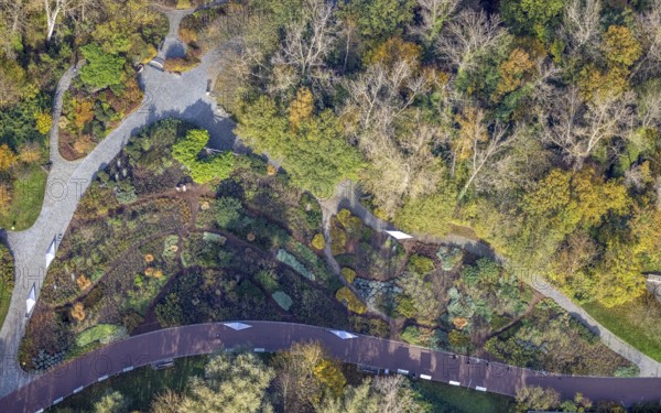 Aerial view, Maximilianpark Hamm, rose beds, Uentrop, Hamm, Ruhr area, North Rhine-Westphalia,