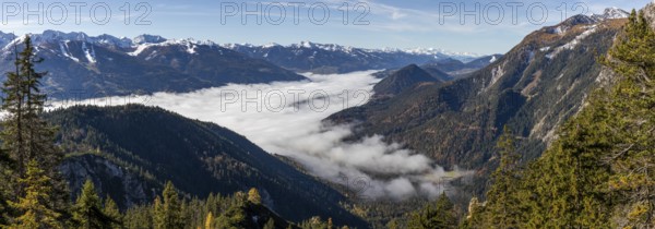 Autumn atmosphere, fog over the Enns Valley, snow on alpine mountain range, autumn leaves,