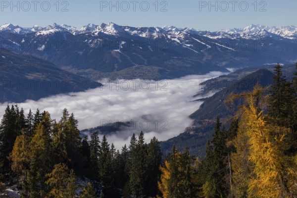 Autumn atmosphere, fog over the Enns Valley, snow on alpine mountain range, autumn leaves, view