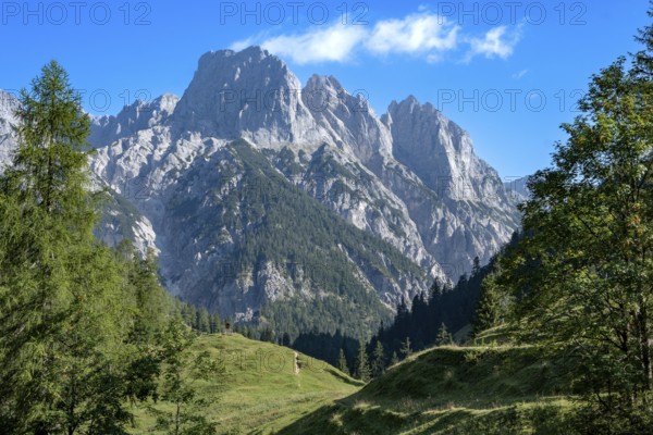 View from Bindalm to the peaks of the Reither Alm with Stadelhorn and Mühlsturzhorn, Berchtesgaden