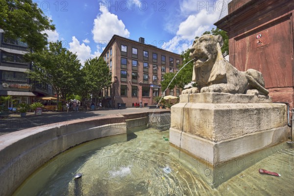 New fountain, sandstone fountain, limestone sculpture lion, water, city builder Johannes Weydt,