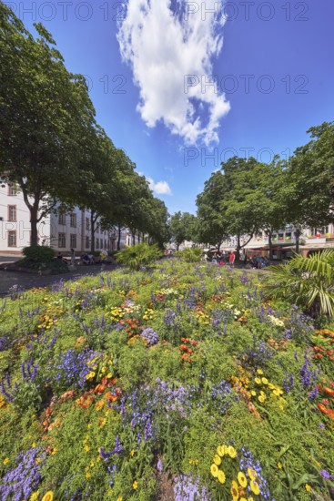 Garden area, flower bed, trees, general architecture, pedestrians as a secondary motif, blue sky,