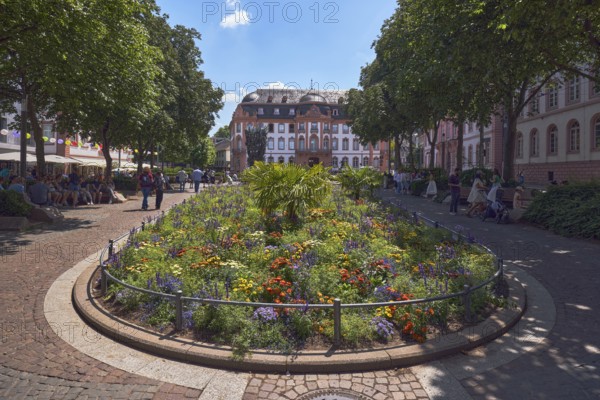 Gardens, flower beds, trees, general architecture, historic buildings, houses, paving stone square,