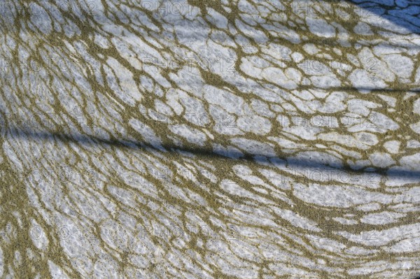 Structure of pollution in the port of Ahrenshoop, Darß, Baltic Sea, Mecklenburg-Western Pomerania,