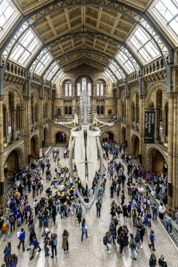 London, United Kingdom - 15 May 2025: Crowds of people gather beneath the famous hanging whale