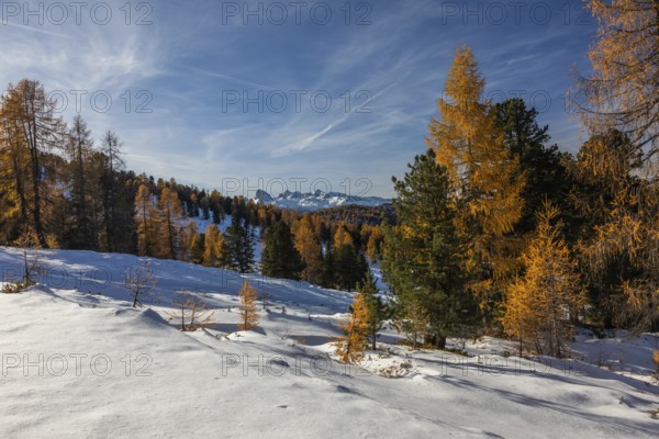 Autumn atmosphere, snow on alpine peaks, Dachstein, autumn leaves, view from Stoderzinken near