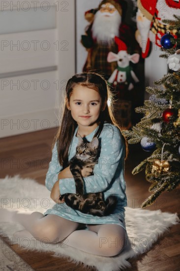 Young girl in festive room hugging a cat near christmas tree with ornaments.Belarus