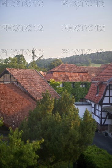 Rural countryside houses mingling with nature, ivy growing on walls, view of traditional Fachwerk