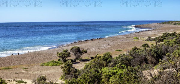 Wide stretch of beach with coastal vegetation on a quiet day by the sea, The countryside of