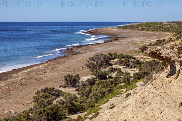Landscape with extensive beach and vegetation merging into the blue ocean horizon, The landscape of