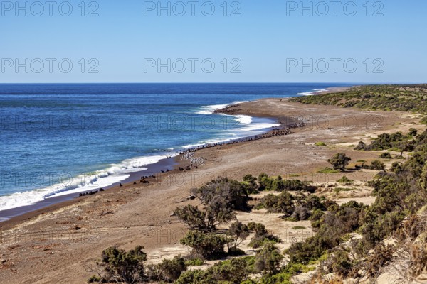 View of a wide coastline with sandy beach and clear lake, The countryside of Peninsula Valdes in
