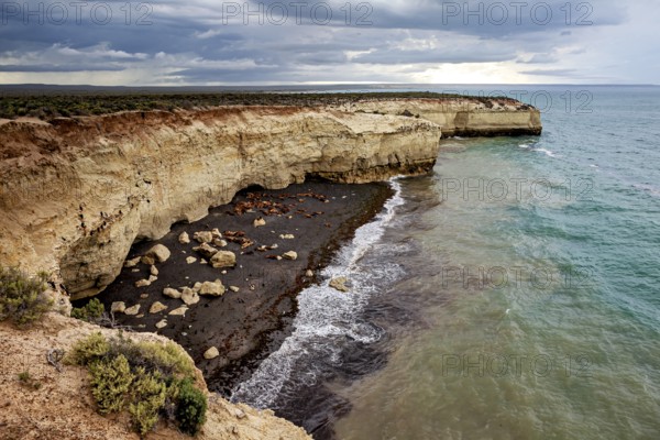 View of the rocky coast with high cliffs and picturesque waves under a cloudy sky, The maned seals