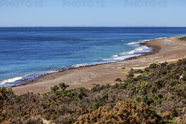A quiet coastal landscape with wide beaches and lush vegetation under clear skies, The landscape of