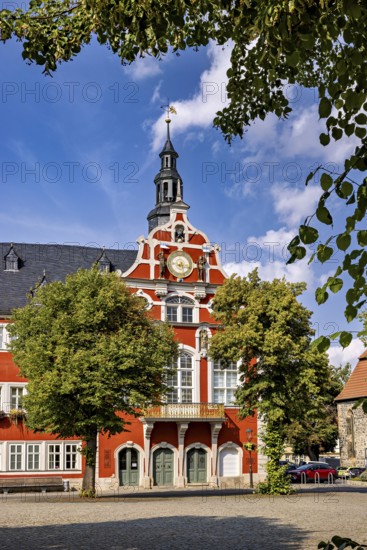 Historic building with red façade in baroque style, surrounded by trees under a blue sky, The old
