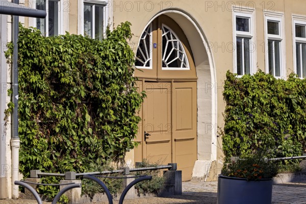 House entrance with classic wooden door and ivy-covered walls in an urban environment, historic