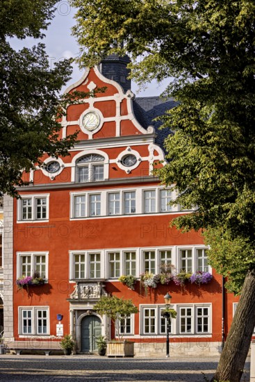 Magnificent building with remarkable façade, surrounded by trees, in bright weather, The old town