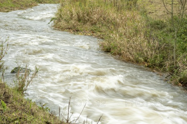 Borken-Hoxfeld, NRW, Germany, A river rushes through a landscape filled with tall grasses and