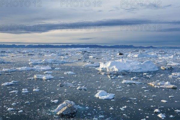 Iceberg fragments scattered across a vast, cold sea under an overcast sky, Ilulissat Icefjord,