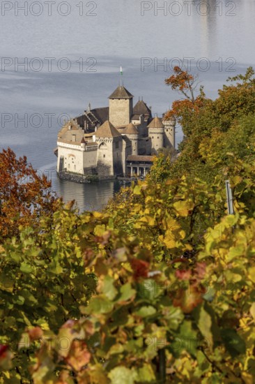 Château de Chillon, Chillon Castle, from autumnal colorful vineyard terraces, Les Terraux,