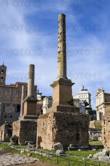Two honorary columns reconstructed at the Roman Forum in 1899, a fluted from Pavonazetto and an