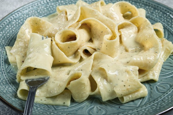 Pasta papardelle in creamy garlic sauce, traditional Italian cuisine, pasta carbonara, homemade, no