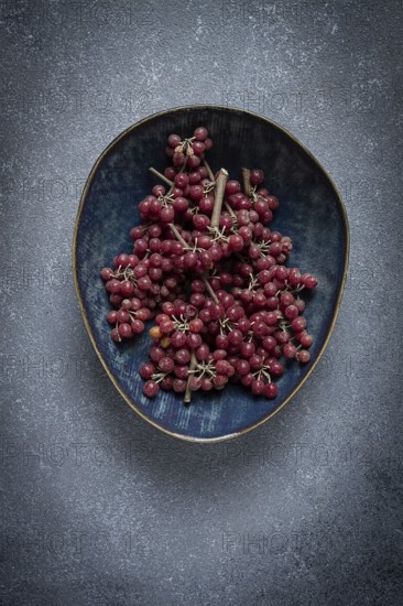 Shtoshi berry, Shepherd's pie, a hybrid of sea buckthorn and barberry, top view, no people