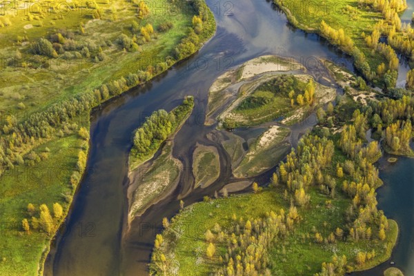 Aerial view, lip estuary, river Lippe and small islands with autumn trees in the NSG nature