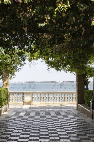Beautiful natural park with views of the sea through pink bougainvillea. The ornamental pond in