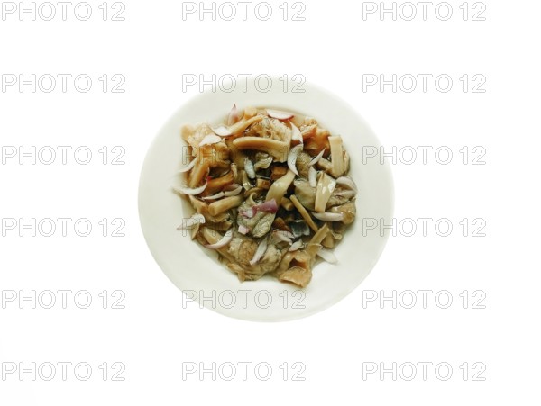 Delicious dish in the form of homemade salted mushrooms with onions in a plate on a white