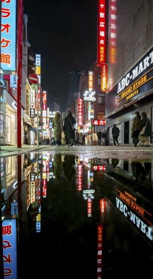 Pedestrian zone with many shopping centers and stores, illuminated with lots of neon signs at
