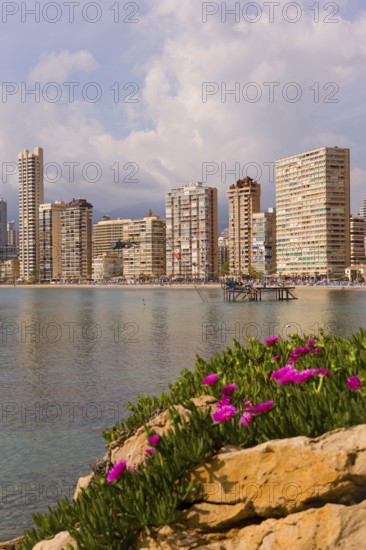 View of high-rise skyline, Little Manhattan, skyscrapers, Benidorm, Valencia region), Costa Blanca,