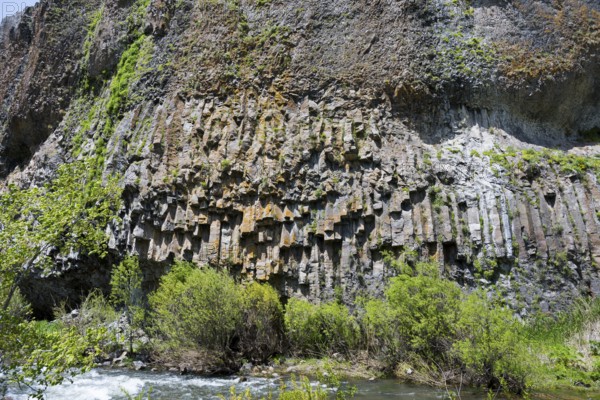 An impressive formation of basalt columns rises above a river surrounded by vegetation, basalt on