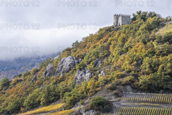 Castle stands on top of a mountain. Below are tressed vineyards as well forest glowing in autumn