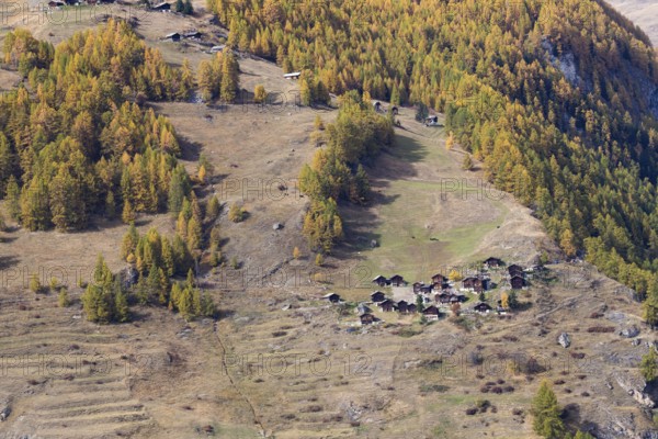 Tiny little town on the mountain. Wooden nostalgic houses are surrounded by grassland and forest in