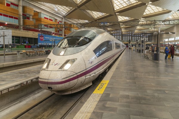 Renfe Class 103 high-speed train, AVE Alta Velocidad Española service, Zaragoza-Delicias railway