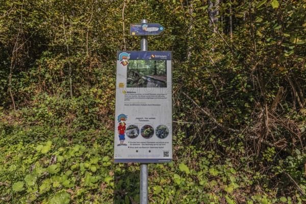 Information board of the artificially created water channel that used to power the historic oil