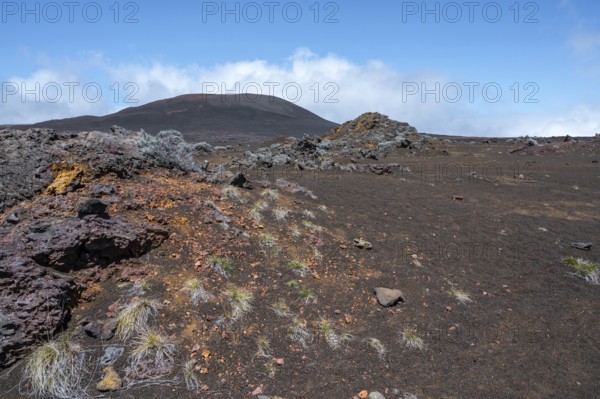 The barren volcanic landscape on the Route du Volcan shows the dark lava soil of the Plaine des