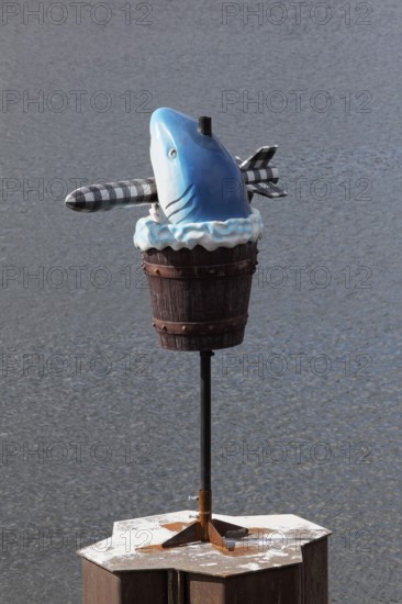 Fish sculpture with rocket in mouth, art installation What If They Bark by conceptual artist Cosima