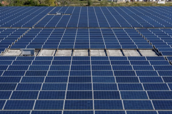 Extensive array of blue solar panels covering a rooftop, capturing sunlight and converting it into