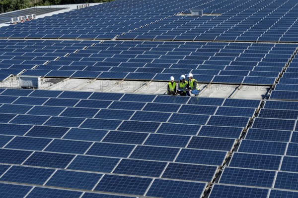 Group of renewable energy technicians reviewing plans and working on a vast array of photovoltaic
