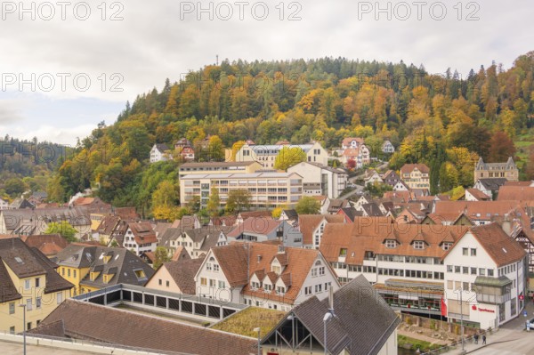 Village on a hill with half-timbered houses and wooded slopes in autumn, Calw, Black Forest,