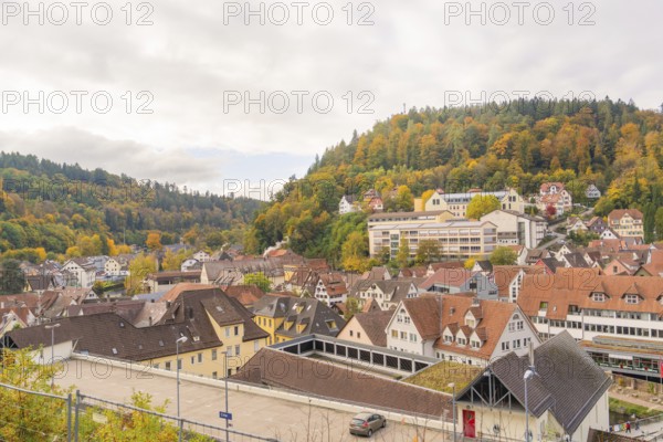 Historic town with half-timbered houses and autumn trees under cloudy sky, Calw, Black Forest,