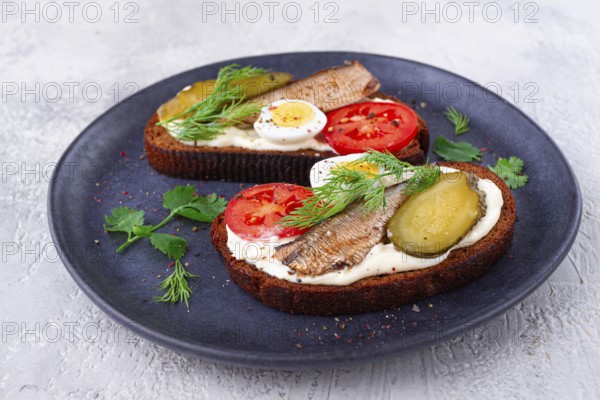 Sandwiches on rye bread with sprats, quail eggs, fresh tomatoes and pickled cucumber, on a dark